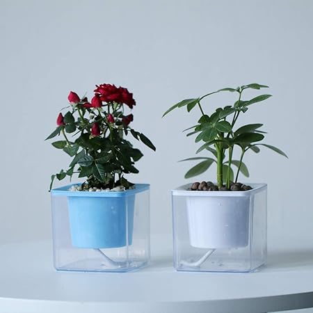 Amazon Com Pots For Plants Self Watering Pots For Indoor Plants Clear Plastic Pots For Plants African Violet Pot For Indoor Planters Succulents Plants Herb African Violets 4pack 3 8in Blue Kitchen Dining