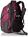 High Sierra Access Laptop Backpack, Berry Blast/Mercury, 20 x 15 x 9.5-Inch