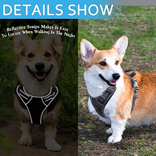 EXPAWLORER NoPull Dog Harness with 16ft Retractable Dog Leash