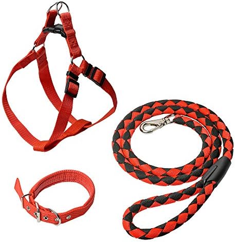 Head Tilt Three Piece Leash-Collar-Harness Kit, Medium, Red (HT61001R)