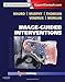 Image-Guided Interventions: Expert Radiology Series (Expert Consult - Online and Print)