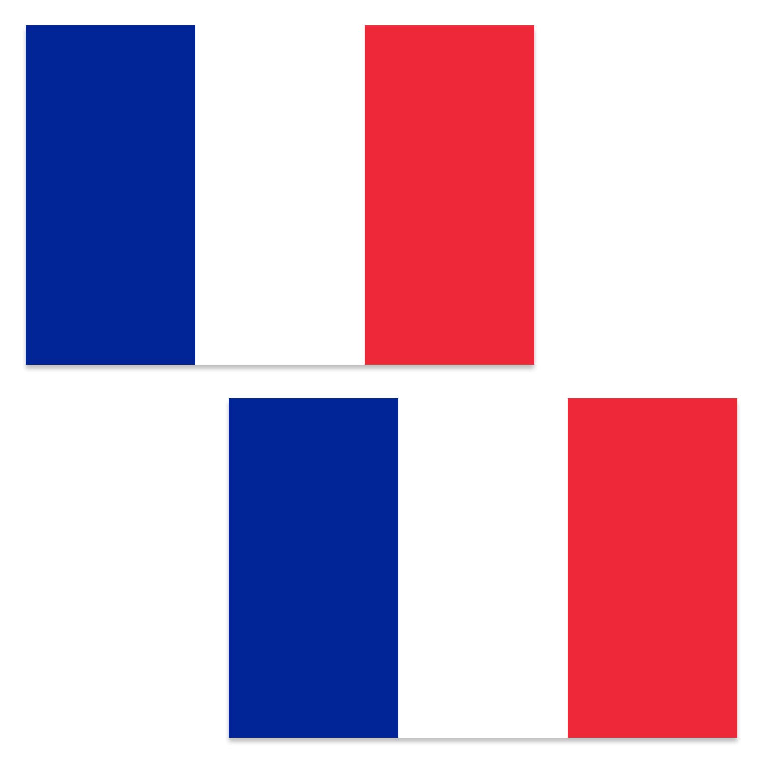 by Robelli International 5 x 3 ft Nylon Indoor or Outdoor Flags (Twin Pack) (France)