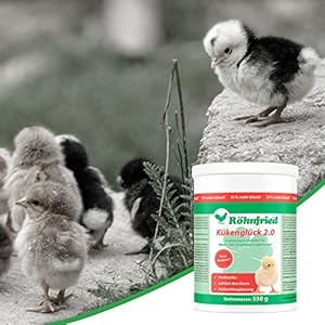 Röhnfried Kükenglück - Preparato per Allevamento (550 g), mangime per Pulcini con vitamine in Polvere, mangime per Pollo… Röhnfried Röhnfried Kükenglück - Preparato per Allevamento (550 g), mangime per Pulcini con vitamine in Polvere, mangime per Pollo…