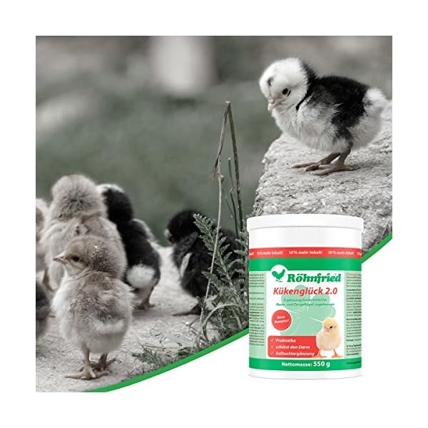 Röhnfried Kükenglück - Preparato per Allevamento (550 g), mangime per Pulcini con vitamine in Polvere, mangime per Pollo… Röhnfried Röhnfried Kükenglück - Preparato per Allevamento (550 g), mangime per Pulcini con vitamine in Polvere, mangime per Pollo…