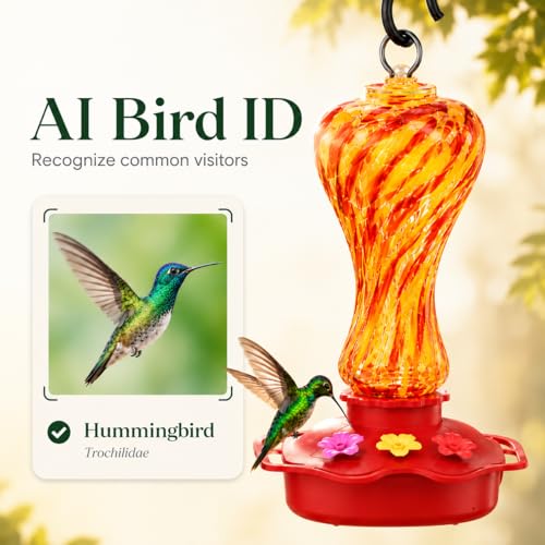 Smart Glass Hummingbird Feeder with Camera, 2K HD Live View, 2.4GHz WiFi Only, Solar-Assisted Outdoor Bird Feeder, App Motion Alerts, AI Bird ID, Ant Moat, Easy Clean Drip-Resistant Nectar Feeder