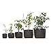 The Awesome Pot APOT3 Open Top Fabric Grow Bag, 3-Gallon