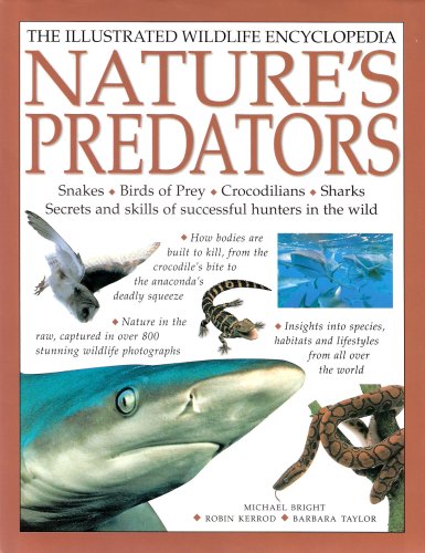 Nature's Predators (The Illustrated Wildlife En... 1843096323 Book Cover