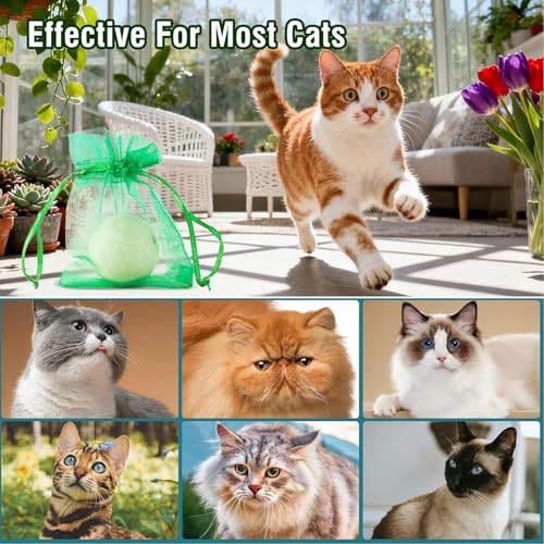12PCS-Natural Outdoor Cat Repellent Balls,Cat Deterrent Outdoor – Effectively Protect Your Yard, Garden, and Lawn from Unwanted Cat Scratching, Digging & Spraying (L1)