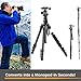 STURDY TIGER 56” Professional Camera Tripod & Monopod – Portable Tripod Stand with 360° Metal Ball Head – Compact DSLR Tripod for Video – Lightweight Aluminum Travel Tripod