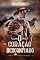 Livro O Coração Desconfiado (Primeiros Amores Livro 3)