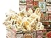 Benevelo Gifts 3 Tier Gourmet Nuts & Snacks Holiday Gift Set (Popcorn, Bark & Nuts)