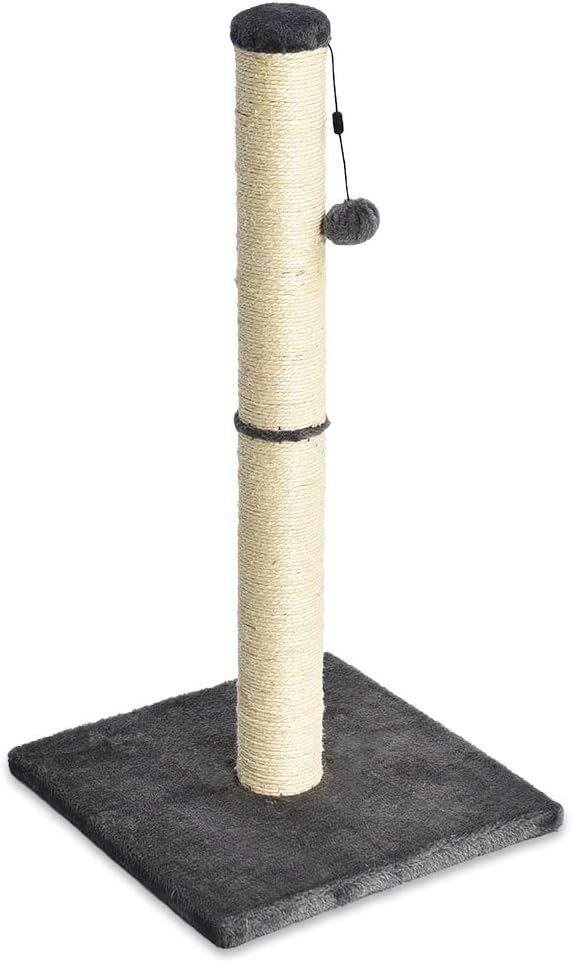 Basics Medium Cat Scratching Post - 16 x 16 x 32 Inches, Gray : Pet Supplies