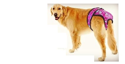 female dog menstrual pads