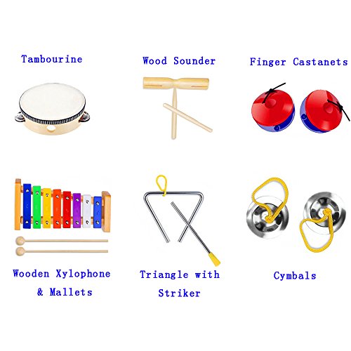 JYFY Musical Instruments 12 Pcs Percussion Toy Rhythm Band Xylophone Set for Kids Preschool Educational with Carrying Bag