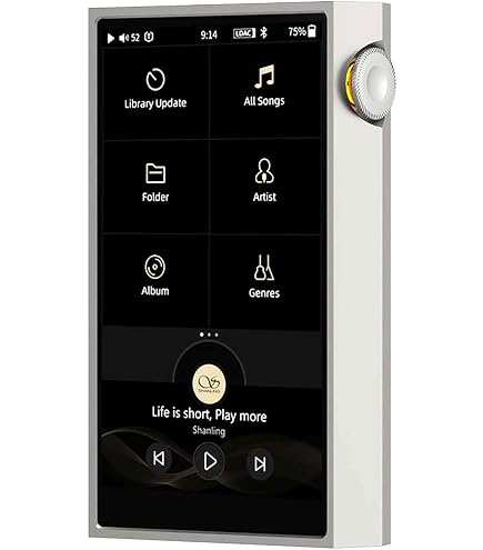 Amazon.com: SHANLING M5 Ultra Leather Case, M5 Ultra Pure Music