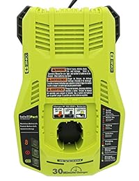 Ryobi P117 One+ 18 V Dual Chemistry IntelliPort Ion de litio y cargador de batería NiCad (batería no incluida, cargador solamente) (restaurado certificado)