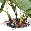 DIGIFLEX-Artificial-Plant-for-Fish-Tank--Fake-Plant--Fish-Tank-Decorations--Fishtank-Ornament-Green-Leaves--20cm--Home-Aquarium--Natural-Realistic-Design DIGIFLEX Artificial Plant for Fish Tank – Fake Decorations – Fishtank Ornament Green Leaves – 20cm – Home Aquarium – One…