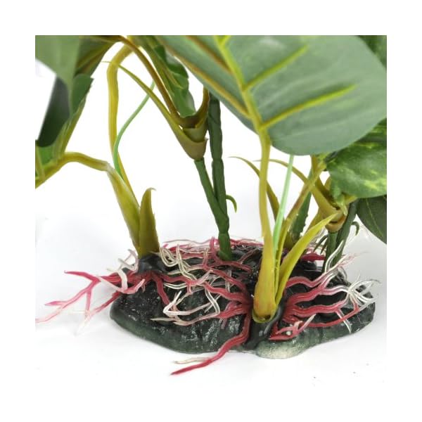 DIGIFLEX-Artificial-Plant-for-Fish-Tank--Fake-Plant--Fish-Tank-Decorations--Fishtank-Ornament-Green-Leaves--20cm--Home-Aquarium--Natural-Realistic-Design DIGIFLEX Artificial Plant for Fish Tank – Fake Decorations – Fishtank Ornament Green Leaves – 20cm – Home Aquarium – One…
