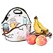 iColor Cute Owls Neoprene Insulated Waterproof Cooler Box Container Soft Case baby lunchbox Handbag Work Travel Outdoor Thermal Lunch Tote Bag School/Office Storage Pouch