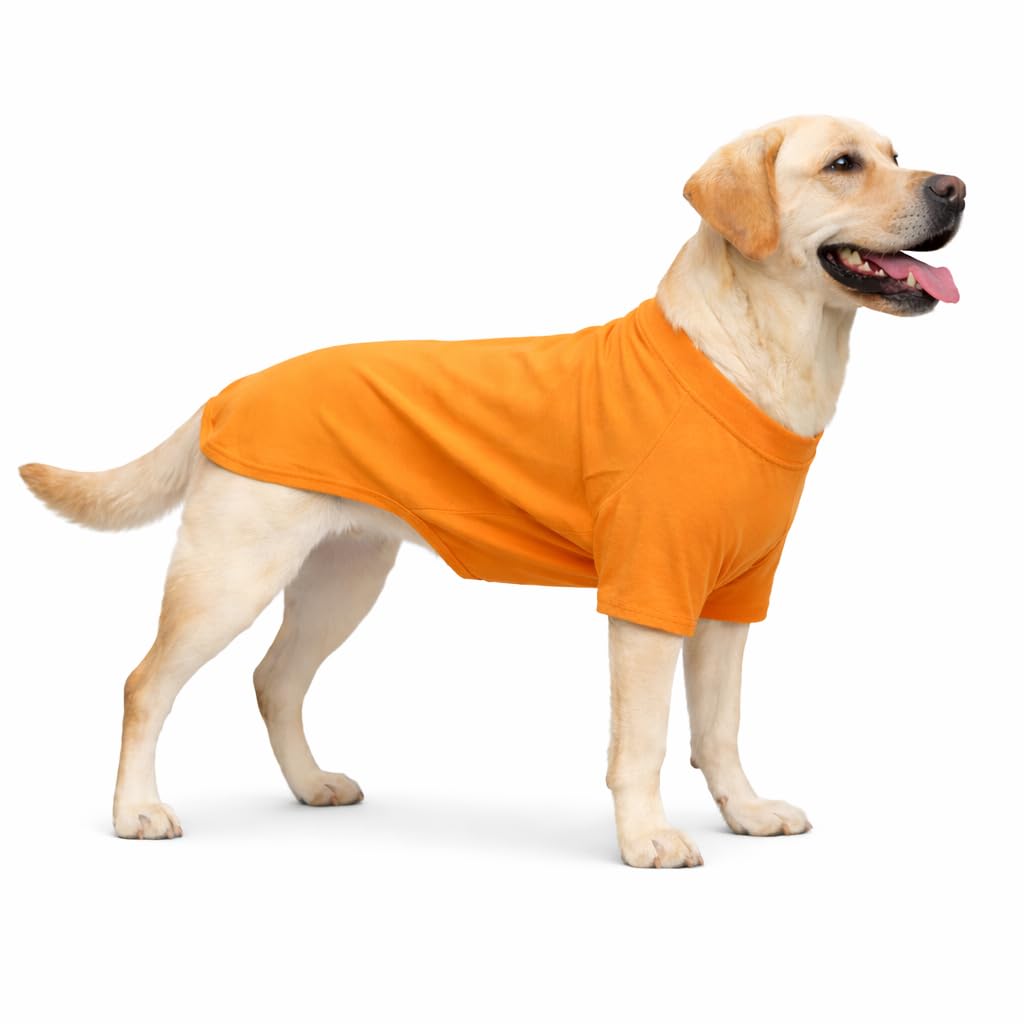 Lovelonglong Pet Clothing Dog Costumes Basic Blank T-Shirt Tee Shirts for Medium Large Dogs Orange XXXL