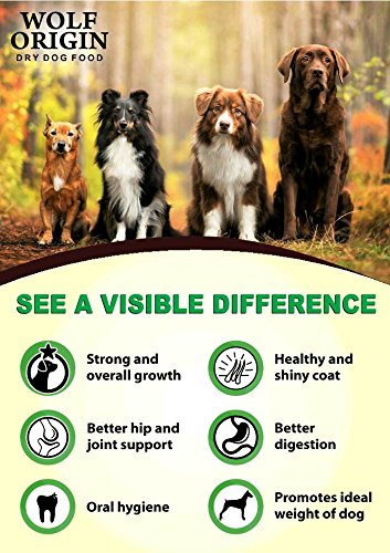 wolf origin dog food