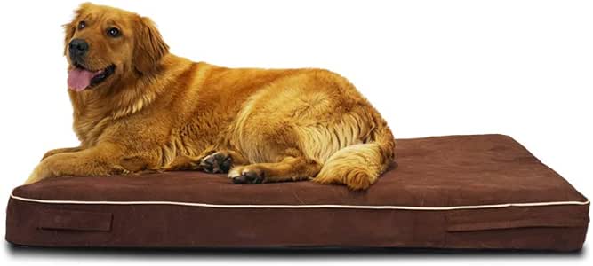 Amazon.com : Laifug Orthopedic Memory Foam Pet/Dog Bed ...