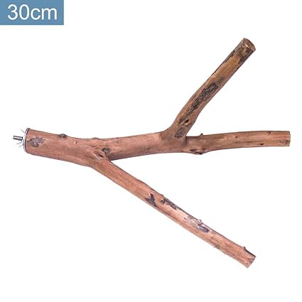 Adminitto88 Bois Multi Branche Oiseau Perchoir Support
