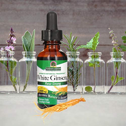 Nature's Answer Panax Ginseng Chinese White Ginseng, 1 Fluid Ounce - Thumbnail 2