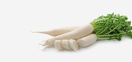 Creative Farmer Radish Hybrid All Season White Long -100 Seeds