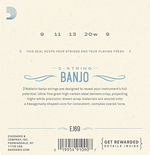 D'Addario EJ69 Phosphor Bronze 5-String Banjo Strings, Light, 9-20