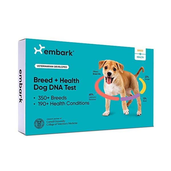 Embark Dog DNA Test Breed & Health Kit Breed Identification