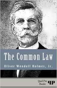The Common Law Illustrated Oliver Wendell Holmes Jr Steven Alan Childress 9781610279222
