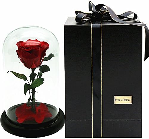 RYEF Beauty and the beast rose,Never withered real rose flower,Live enchanted rose For Wife Lover Mom-A 15x23cm(6x9inch)