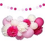 Pink and White Party Decorations Supplies Paper Lanterns Tissue Paper Pom Poms Dot Garland Kit for Wedding Birthday Bachelorette Baby Shower for Girls 19Pcs