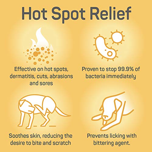 Absorbine Silver Honey Hot Spot & Wound Care Ointment, Manuka Honey & MicroSilver BG, Medicated Skin Care for Dogs, Cats, Small Animals, 2oz Tube