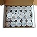 LANKER 24 Pack LED Tea Lights Candles, Flickering Blue Flameless Tealights, Long Lasting Battery Operated Fake Candles, Decoration for Halloween and Christmas (Blue - 24pcs)