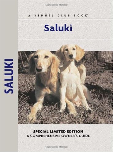 saluki kennel