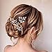 Asooll Rhinestone Bride Wedding Hair Pins Crystal Bridal Hairpieces Crystals Hair Accessories for Women and Girls (Pack of 3) (Silver)