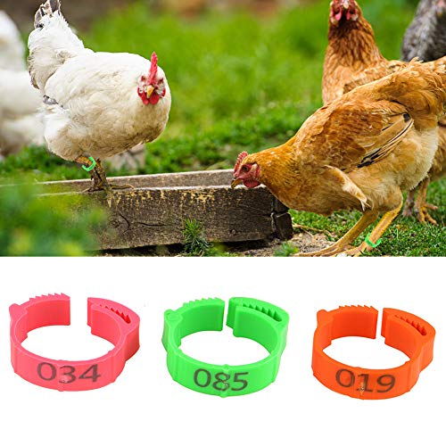Shunfaji 100 Stück Poultry Beinringe, Klemmringe Verstellbarer Hühner-FuÃring, Ring zur Kennzeichnung von Geflügel mit Clips für Farm & Ranch Ringe (Grün) – Bild 5