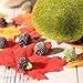 10pcs Landscape Hedgehog Garden Decor