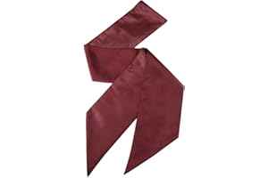 Historical Emporium Men's Satin Regal Cravat