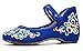 AvaCostume Women's Chinese Embroidery Casual Mary Jane Travel Walking Shoes Blue 39