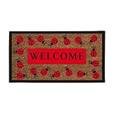 Lady Bug Welcome Mat