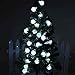 LightsEtc Solar Outdoor String Lights 20led Crystal Ball for Garden,Yard, Home Decorations (White)