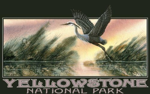 Northwest Art Mall Yellowstone National Park Crane In Marsh Wall Art By Dave Bartholet 11 By 17 Inch Buy Online At Best Price In Uae Amazon Ae