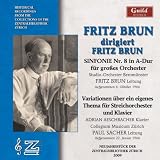 FRITZ BRUN CONDUCTS FRITZ BRUN                     image
