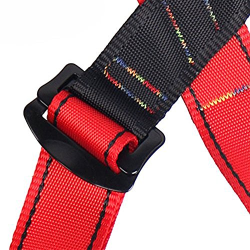 Flowersea Full Body Climbing Harness Kids,Flower Sea9 Climbing Harness Safe Belts Guide Harness Mountaineering Outward Band Expanding Training Caving Rock Climbing Rappelling Equip (S(4-10years))