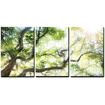 wall26 - Big Tree with Sun Light - Canvas Art Wall Decor - 24