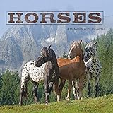 Horses 2020 Mini Calendar by 