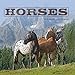 Horses 2020 Mini Calendar by 